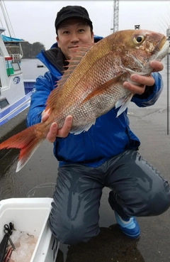 タイの釣果