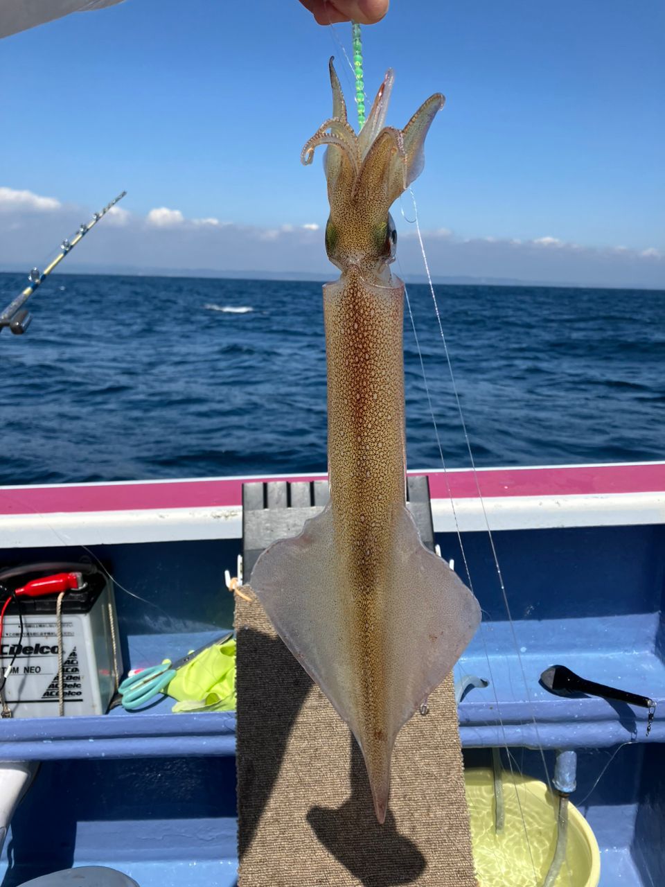 みつ隊長さんの釣果 1枚目の画像