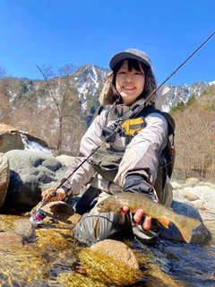 イワナの釣果