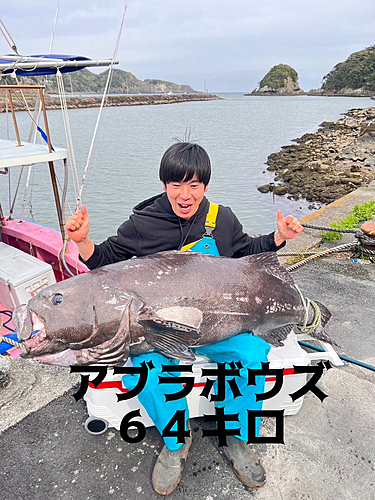 アブラボウズの釣果