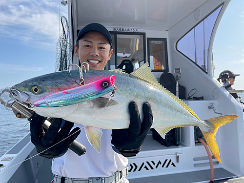 ヤズの釣果