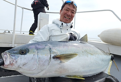 ヒラマサの釣果