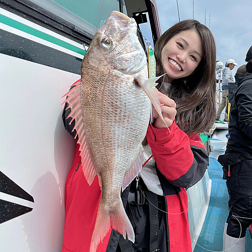 マダイの釣果