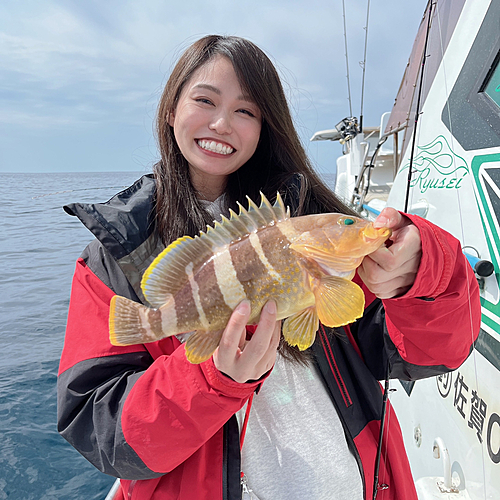 アオハタの釣果