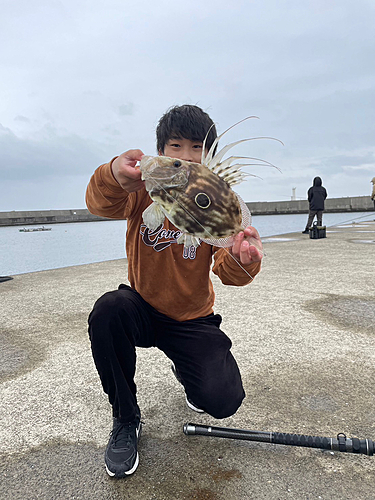 マトウダイの釣果