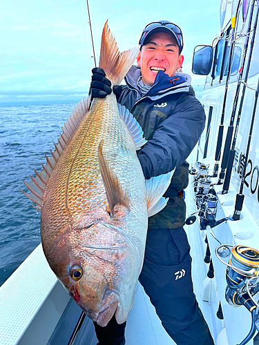 マダイの釣果