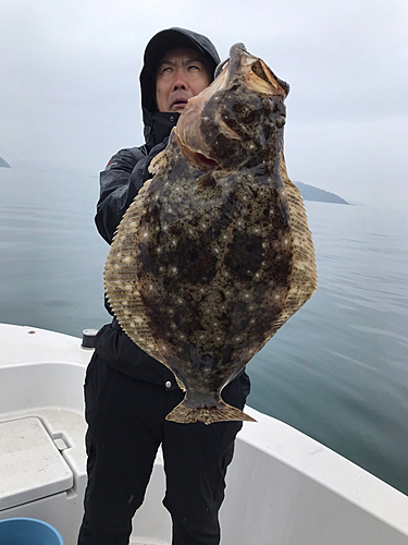 ヒラメの釣果