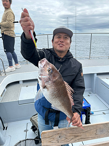 マダイの釣果