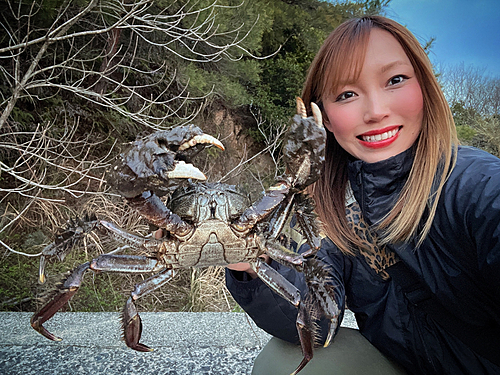 モクズガニの釣果