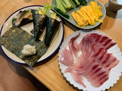 ハマチの釣果