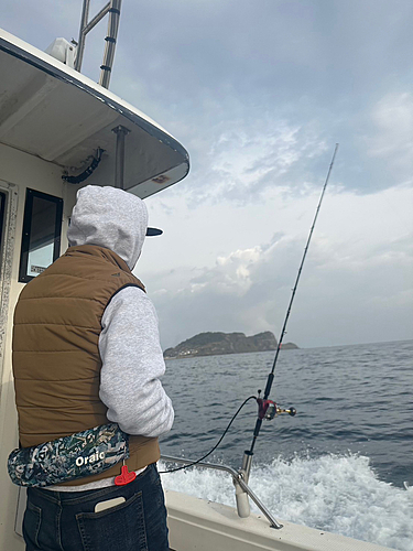 アラカブの釣果