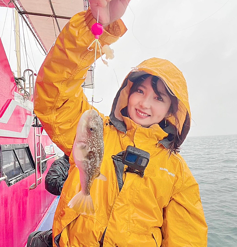 ショウサイフグの釣果