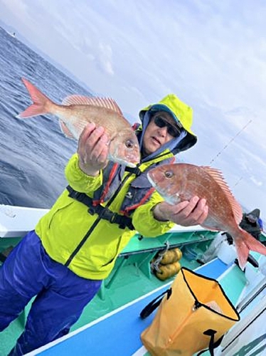 マダイの釣果