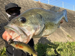 ブラックバスの釣果