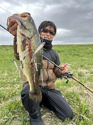 ブラックバスの釣果