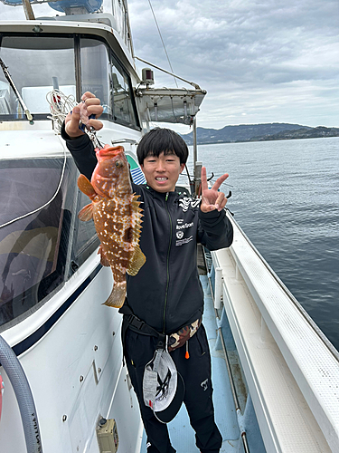 アコウの釣果