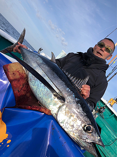 ビンチョウマグロの釣果