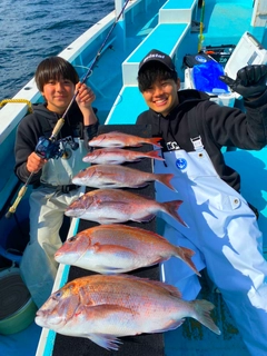 マダイの釣果