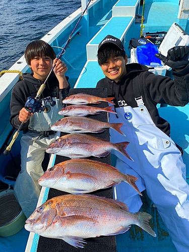 マダイの釣果