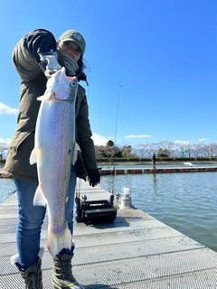 ニジマスの釣果