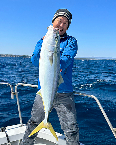 ブリの釣果