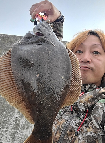 カレイの釣果