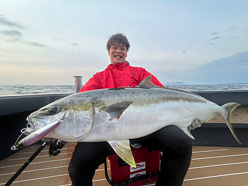 ヒラマサの釣果