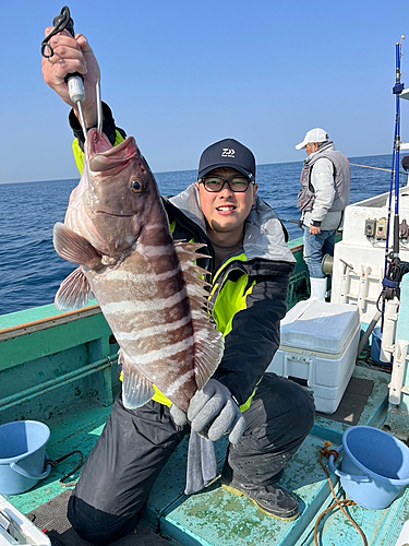 マハタの釣果