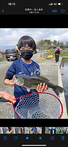 ラージマウスバスの釣果