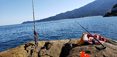 イセエビの釣果