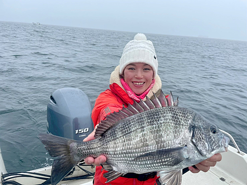 クロダイの釣果