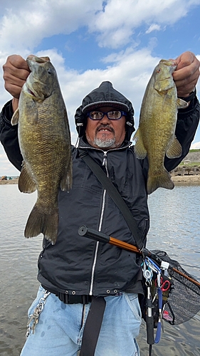 スモールマウスバスの釣果