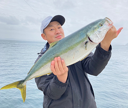 ブリの釣果