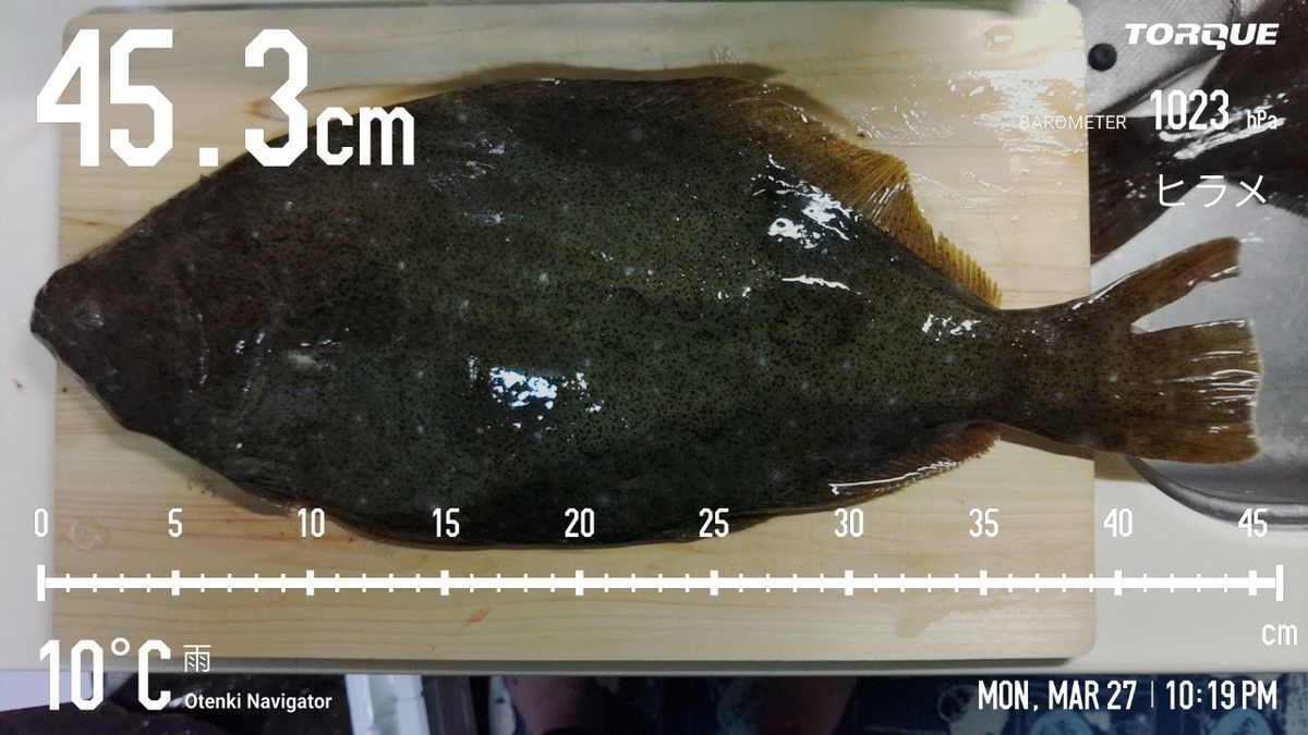 でっけさんの釣果 3枚目の画像