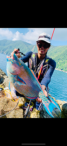 ヒブダイの釣果