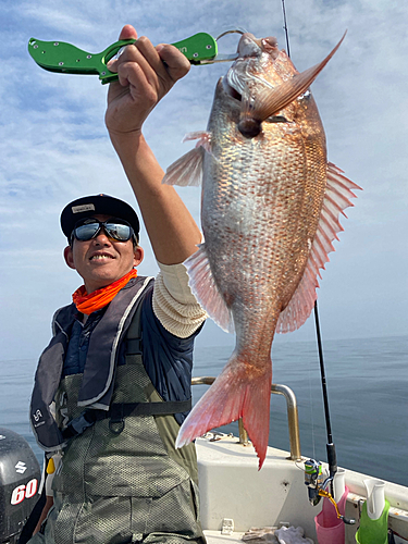 マダイの釣果