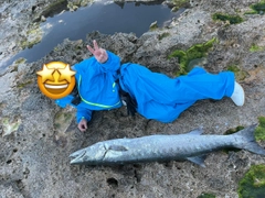 オニカマスの釣果