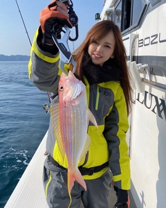 イトヨリダイの釣果