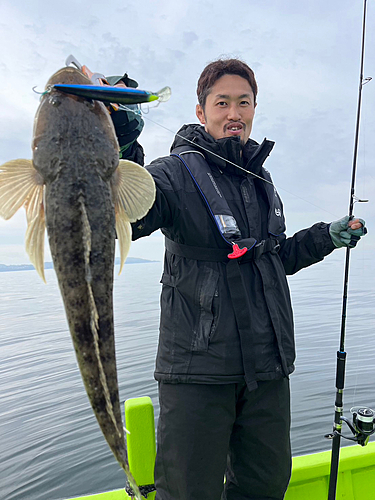 マゴチの釣果