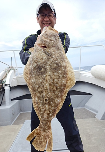 ヒラメの釣果