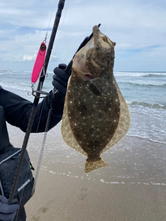 ソゲの釣果