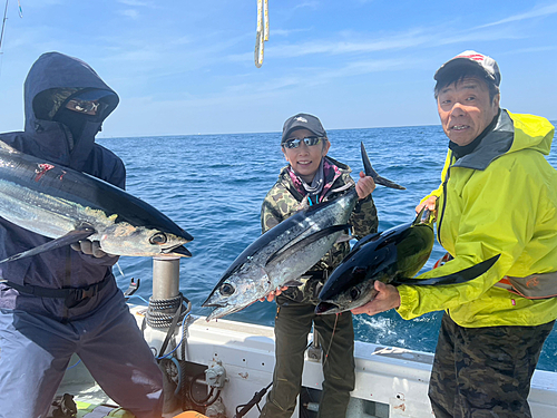 ビンチョウマグロの釣果