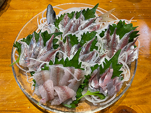 アジの釣果