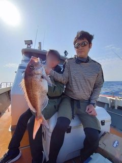 マダイの釣果