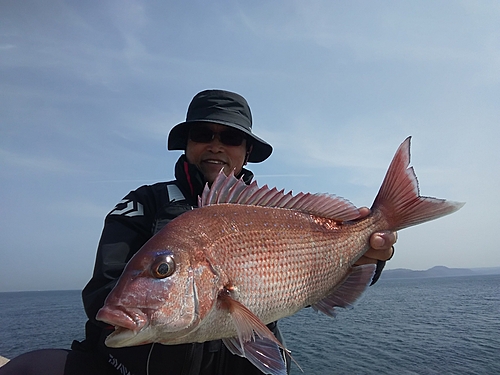 マダイの釣果