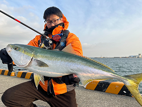 メジロの釣果