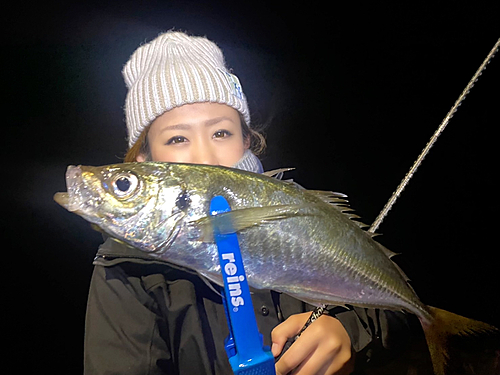 マアジの釣果