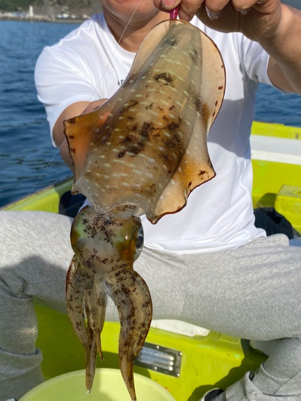 マルヘイさんの釣果 2枚目の画像