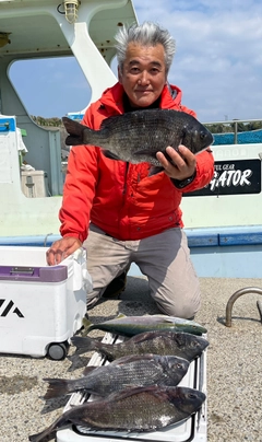 クロダイの釣果