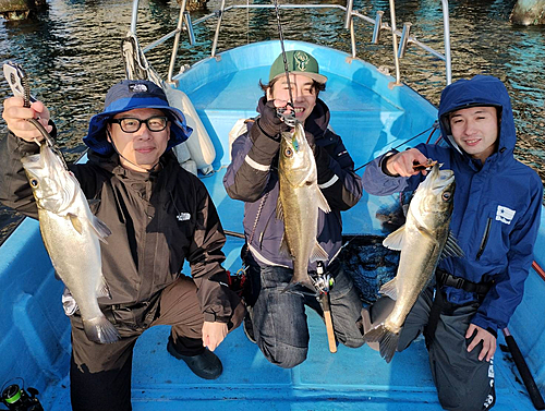 シーバスの釣果